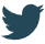 Twitter_icon